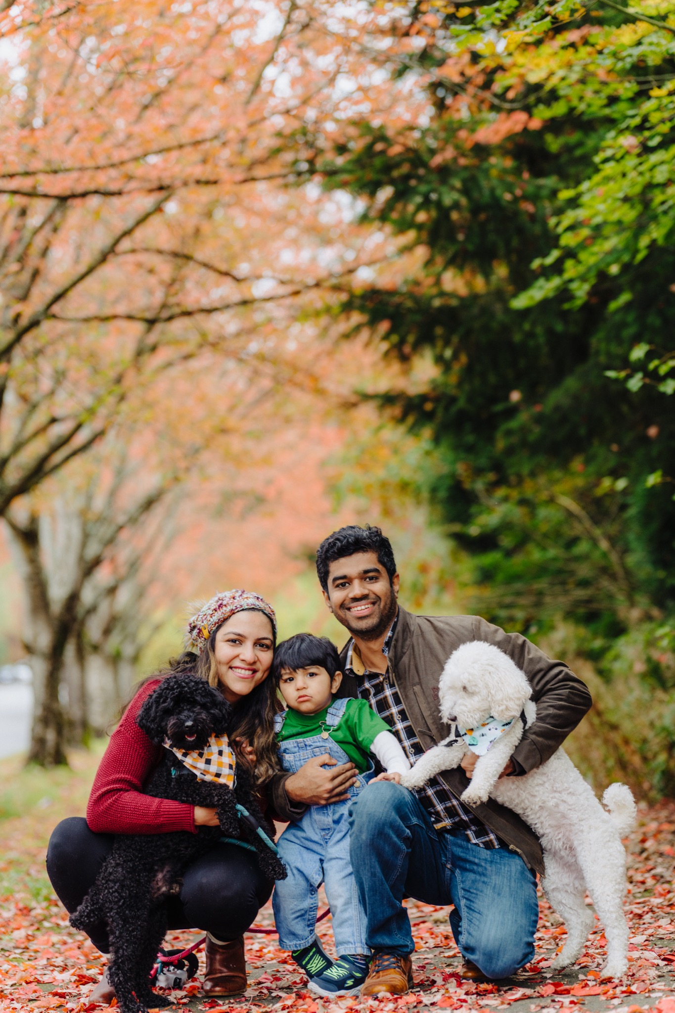 Family session in golden light in Snohomish County