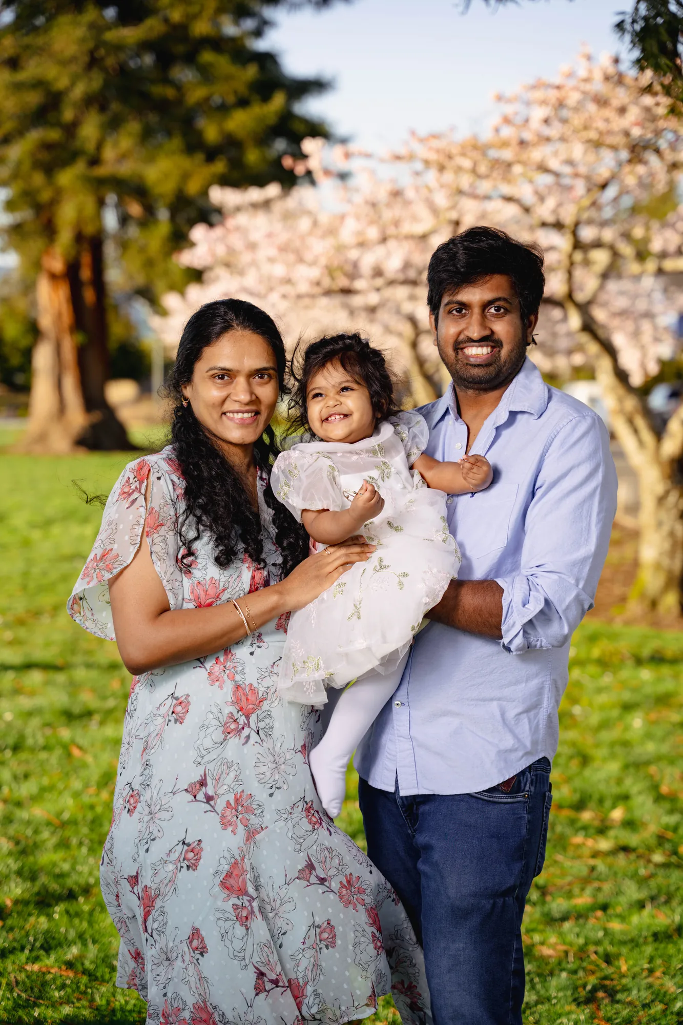 Family laughing with toddler during cherry blossom session in Snohomish County