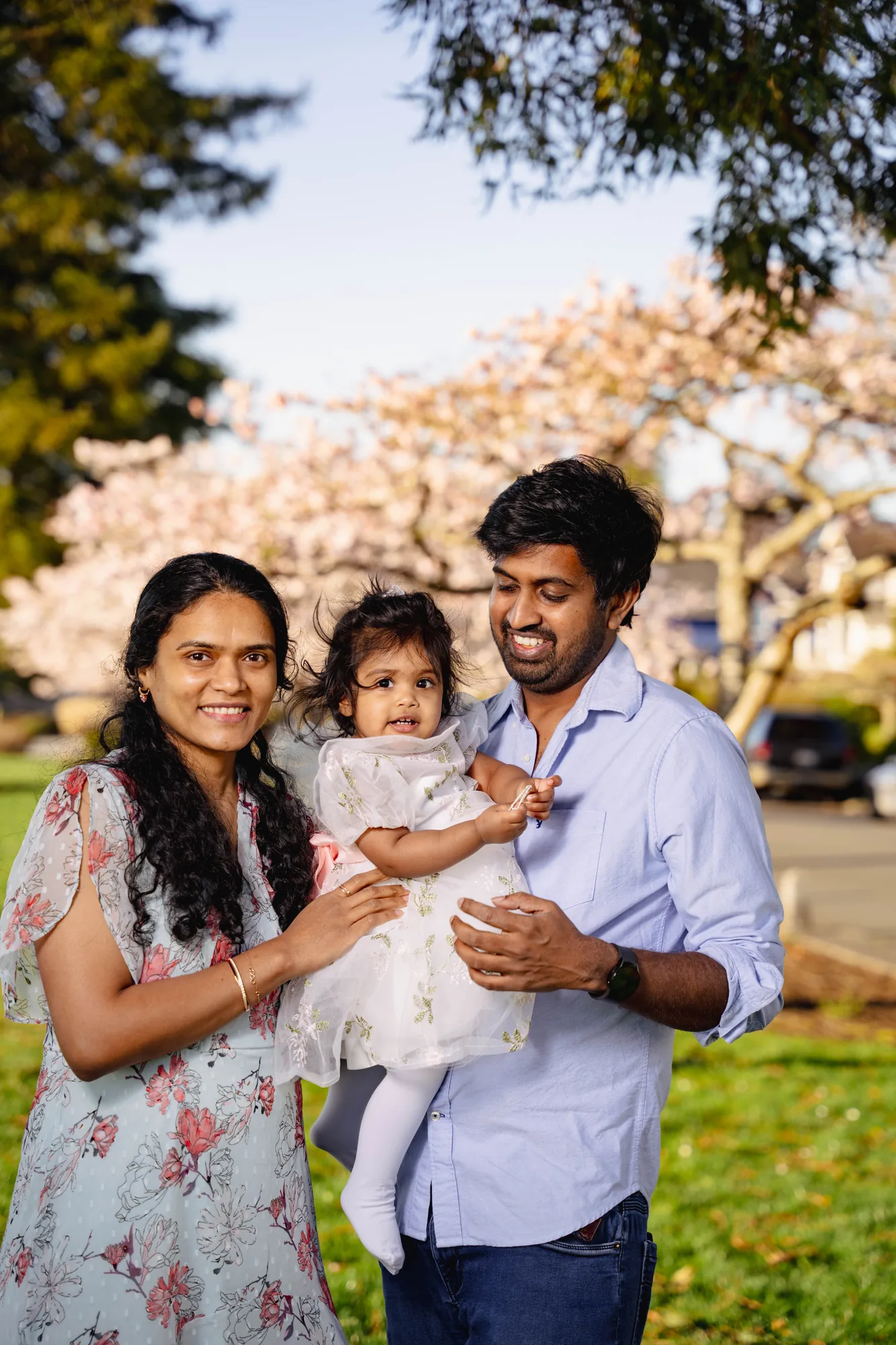 Family with a toddler beneath pink cherry blossoms