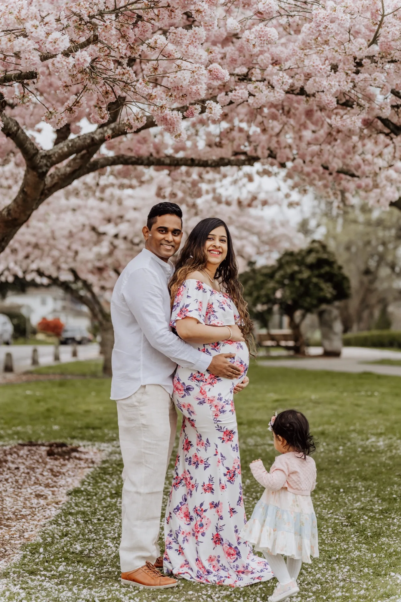 Full family maternity session with toddler under cherry blossoms in Lake Stevens WA