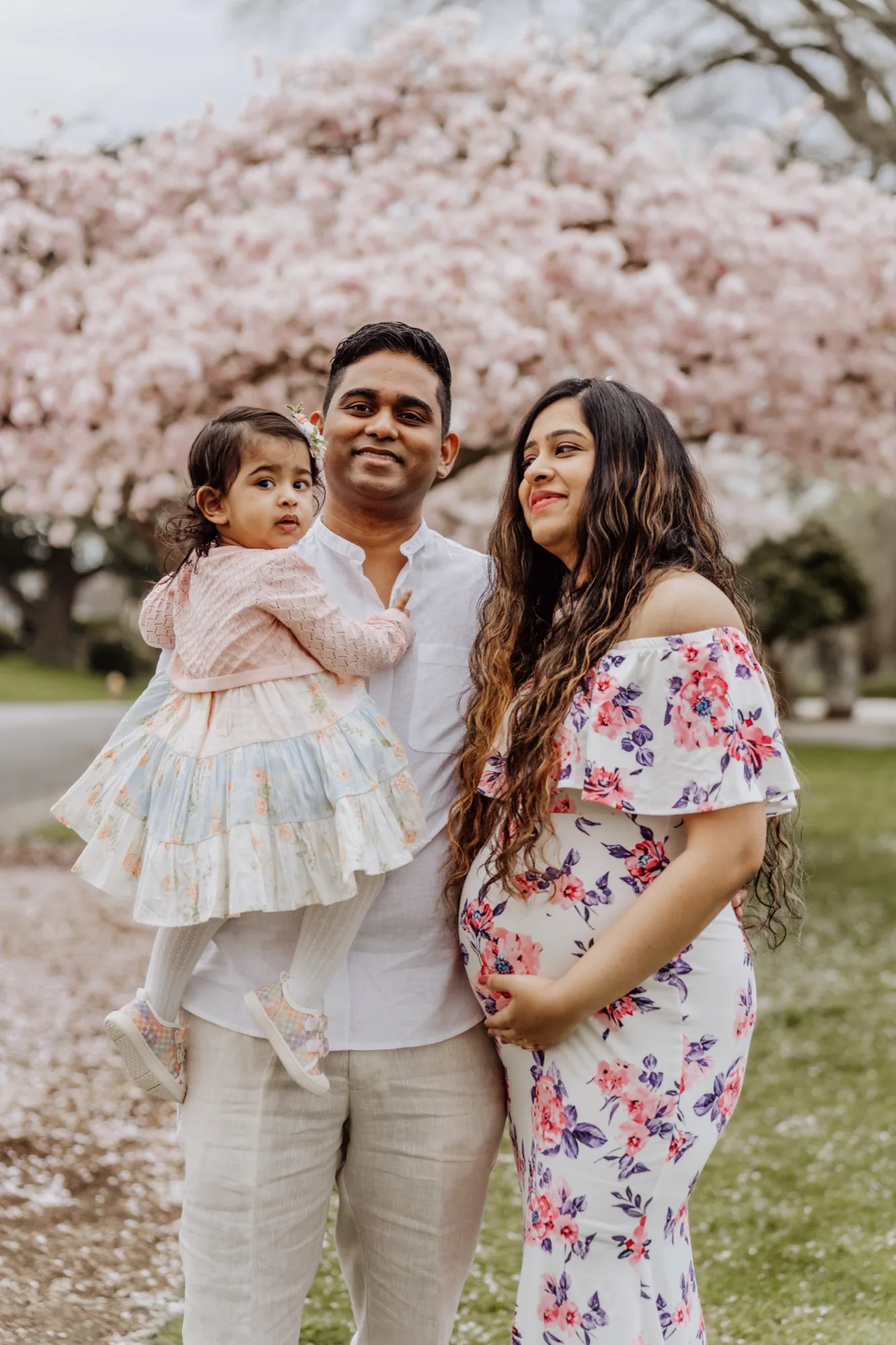 Expecting couple with toddler under cherry blossoms in Lake Stevens WA