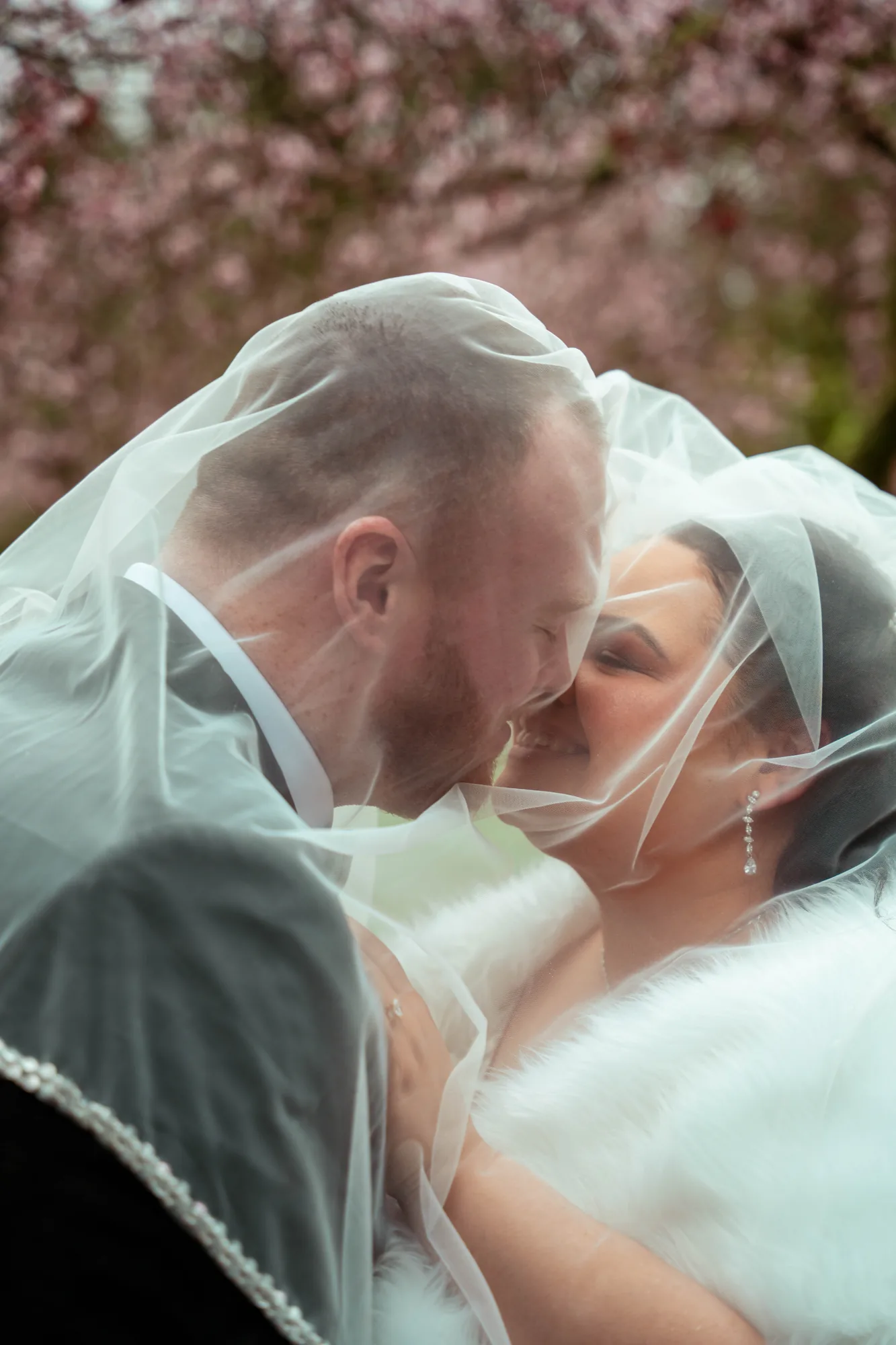 Wedding couple kissing under veil with cherry blossoms in Snohomish County