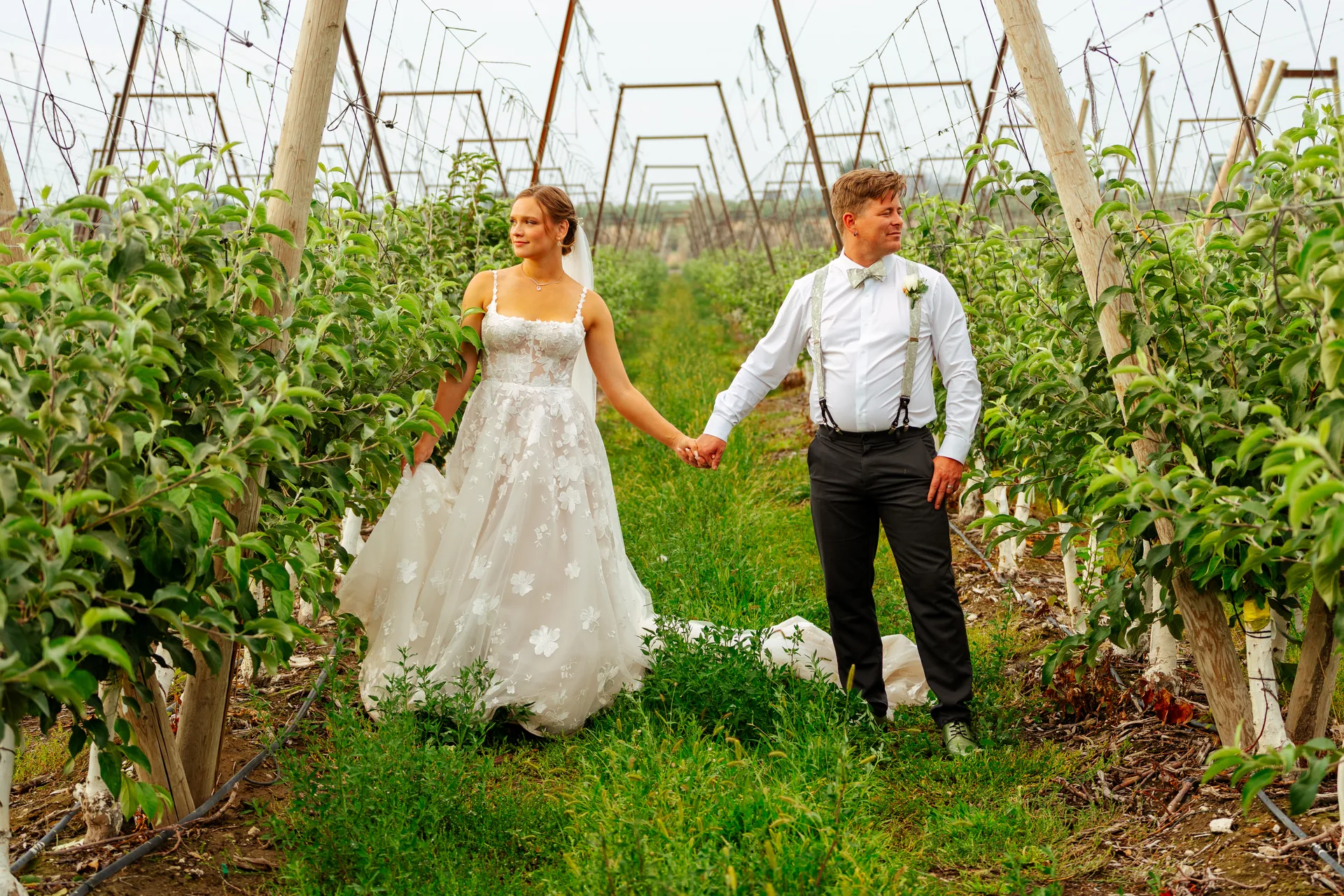 Bride and groom walking the orchard rows on their wedding day in Snohomish County